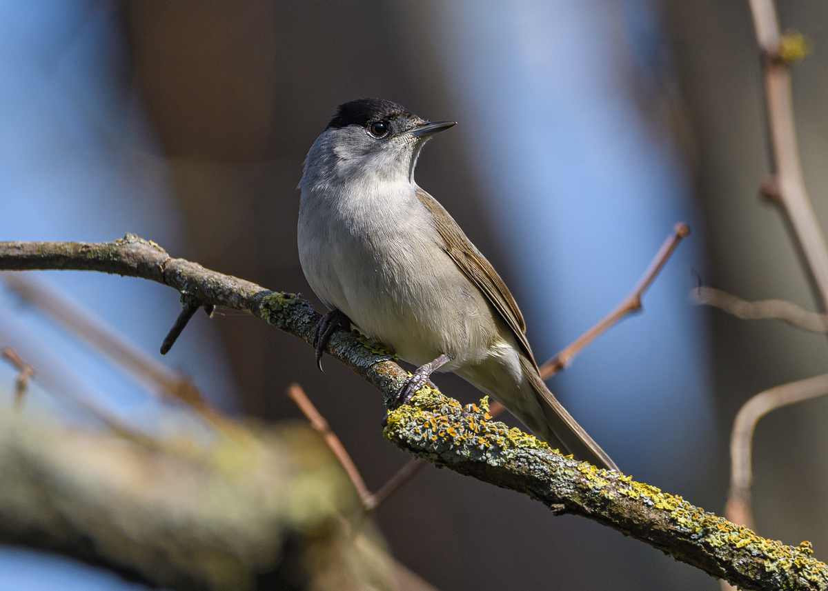 F52_0477.jpg