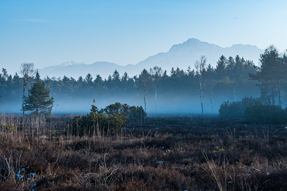 F75_5842-2.jpg