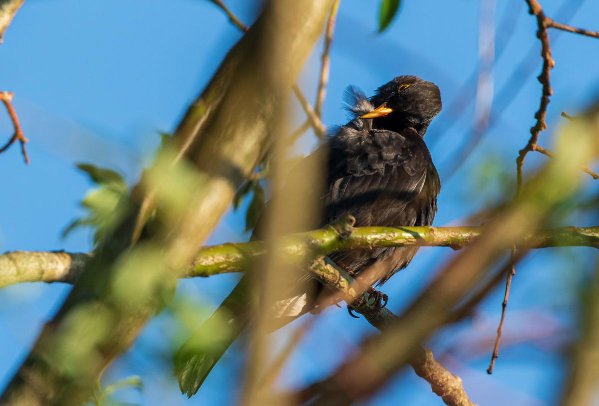 F75_6842-2.jpg