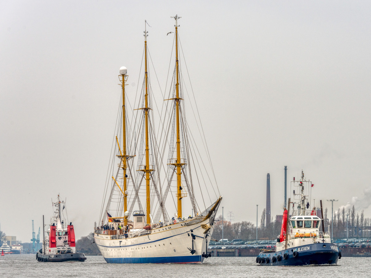 F80_2037.JPG