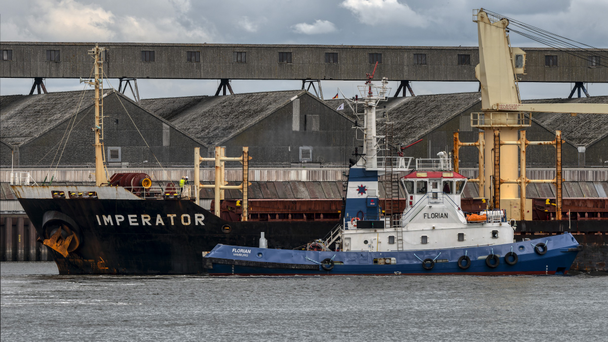F80_3533-_227#.JPG