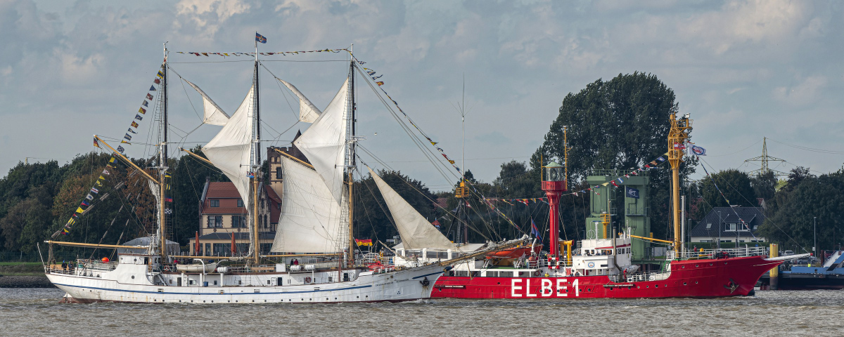 F80_5444-.JPG