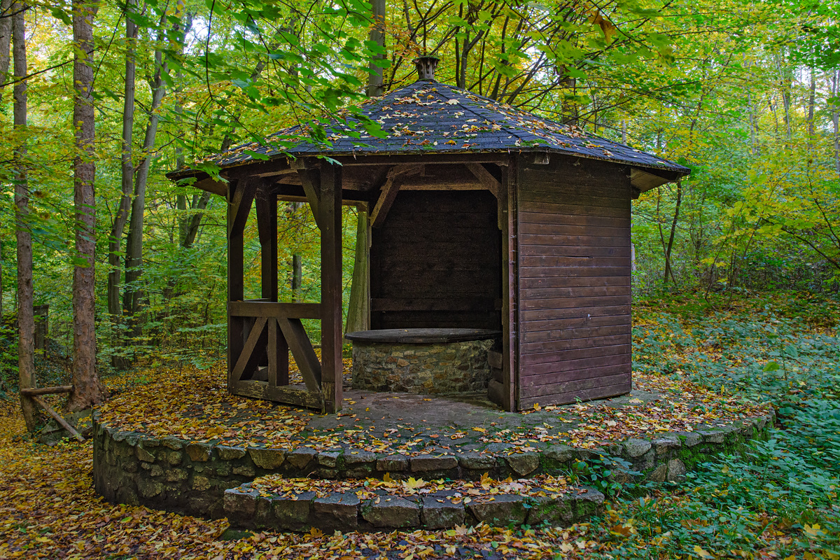 FA6_0429.jpg