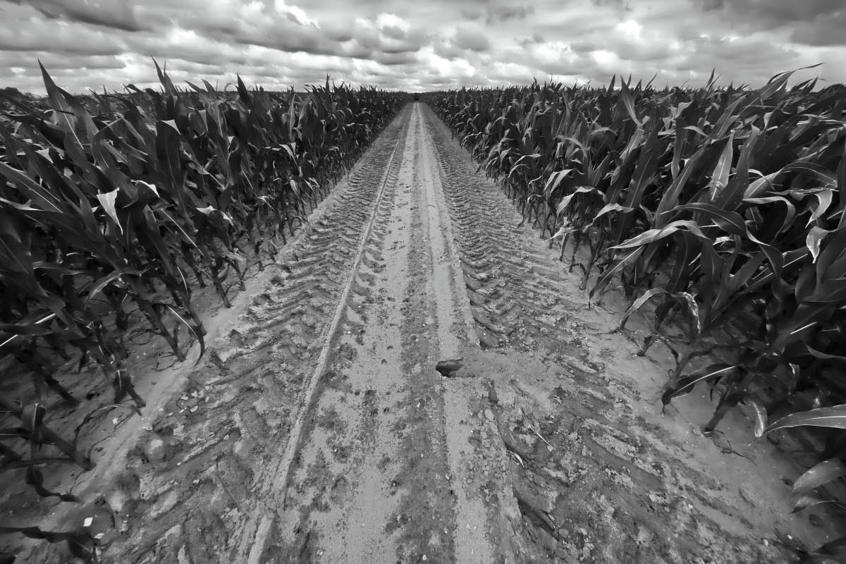 Fahrgasse 2 BW.jpg