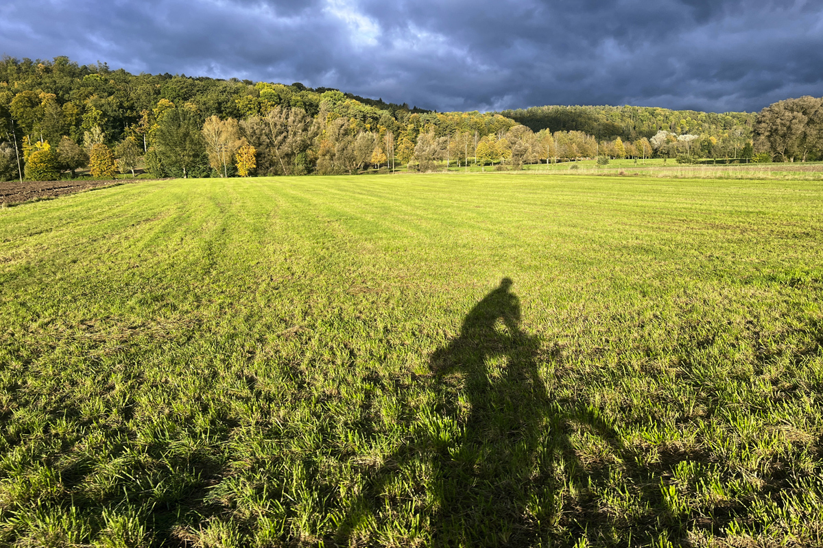 Fahrradschatten