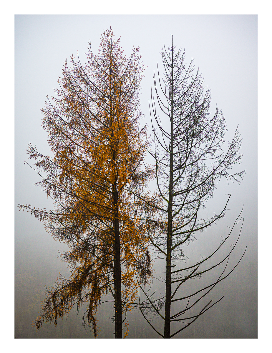 Farbe & s/w