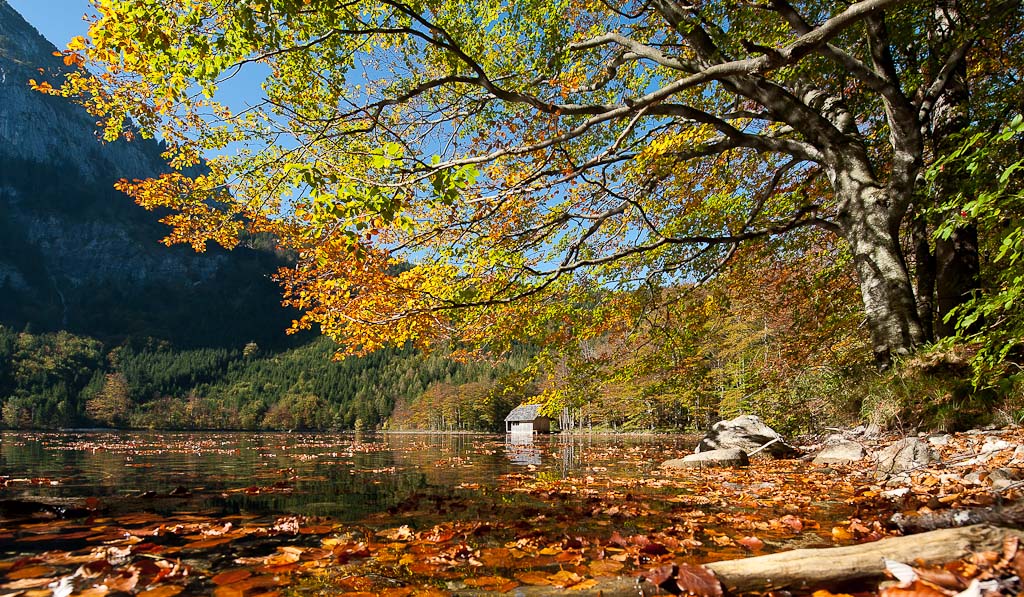 Farben im Herbst Teil2