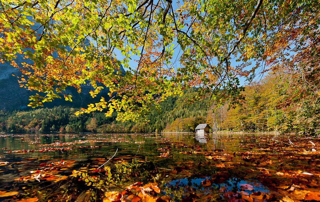 Farben im Herbst