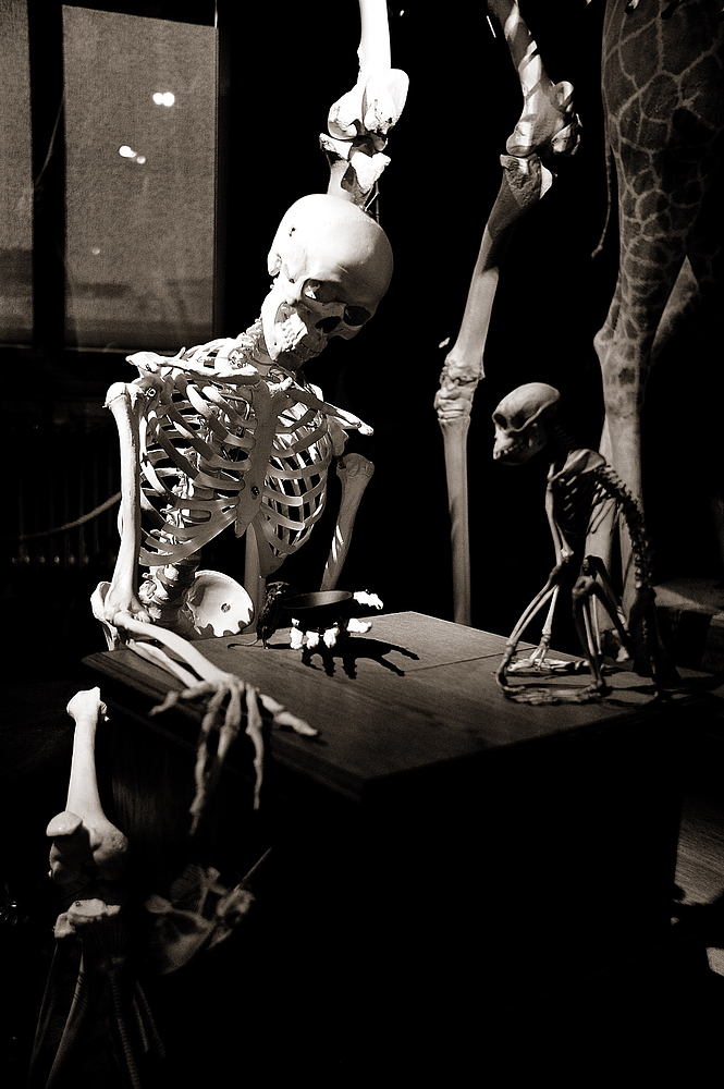faust und homunkulus