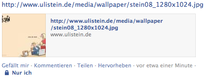 FB Hardcopy zum Linkveröffentlichen