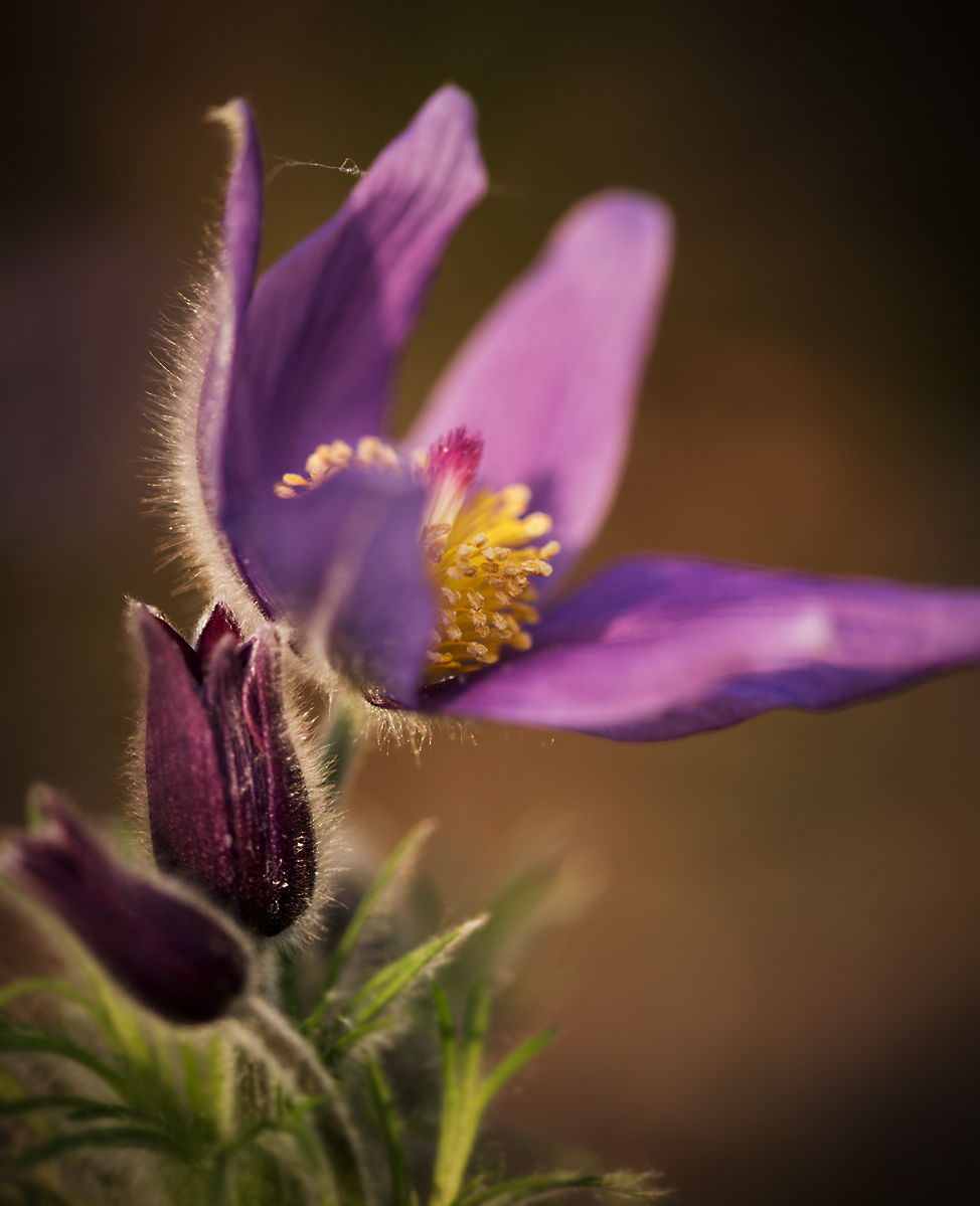 FB_DSC_2467.jpg