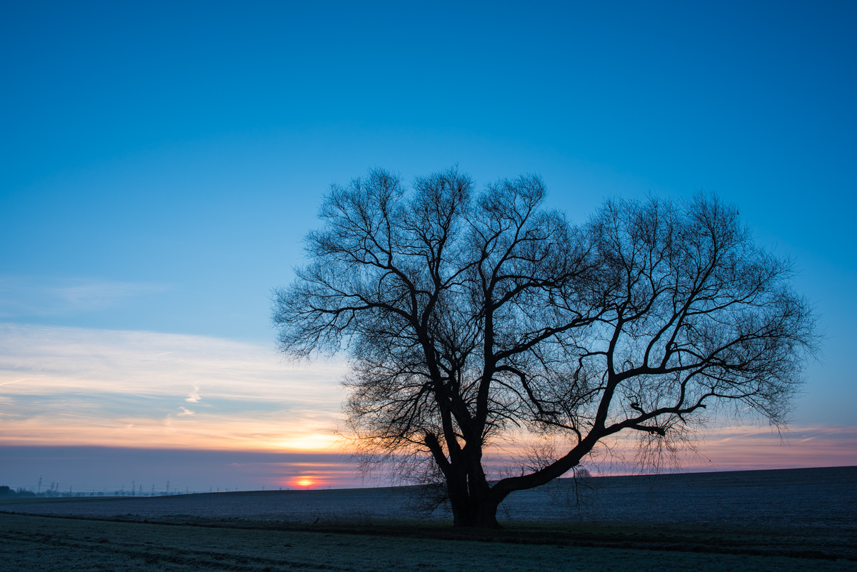 Februar17