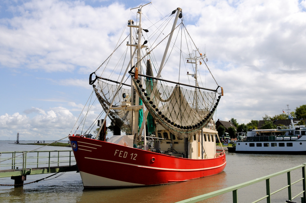 fed12 JKK 2556