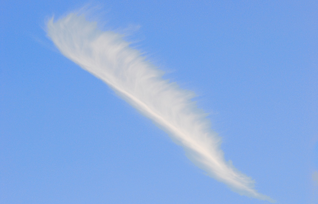 Feder oder Wolke