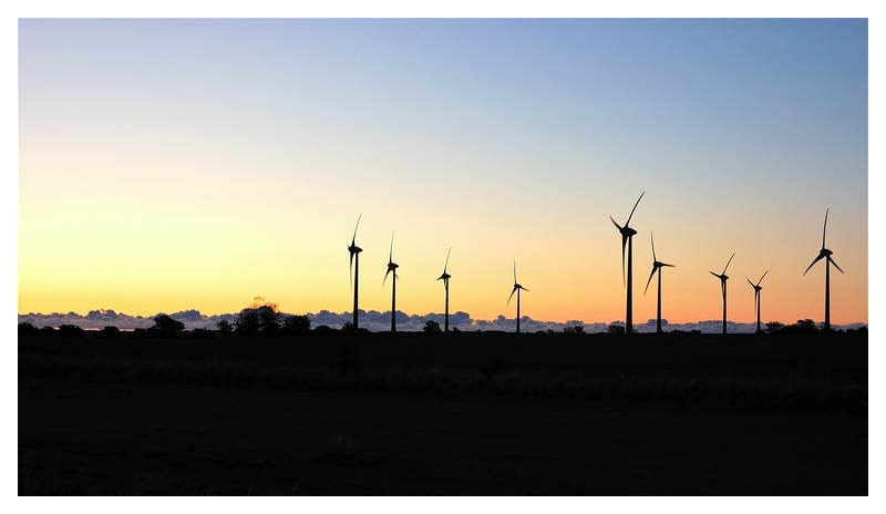 Fehmarn Windkraft am Morgen.