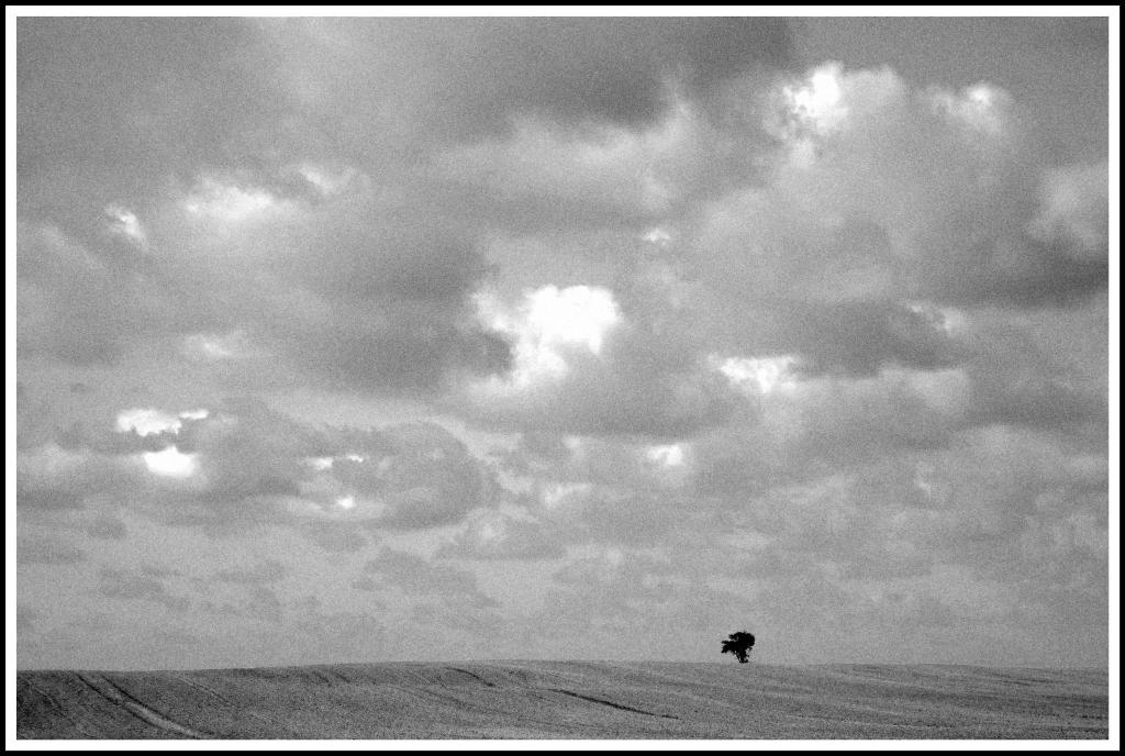 Feld Berlin bw  D7K2869
