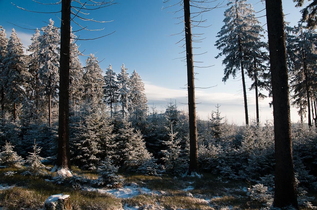 Feldberg