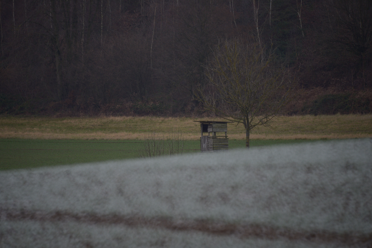Felder mit Raureif