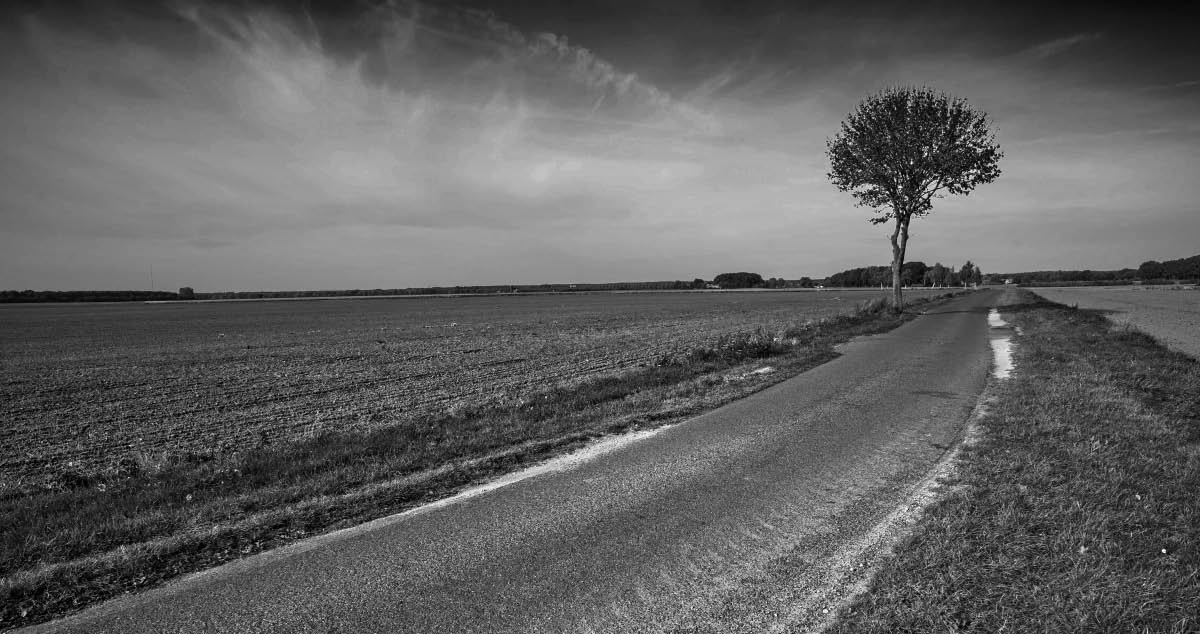 Feldmark 1_BW.jpg