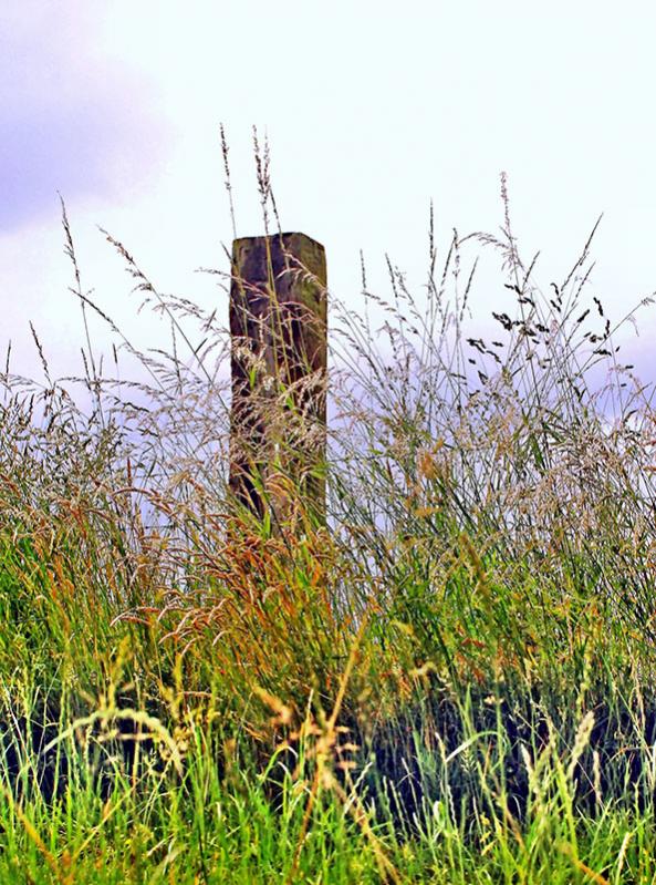 feldmark