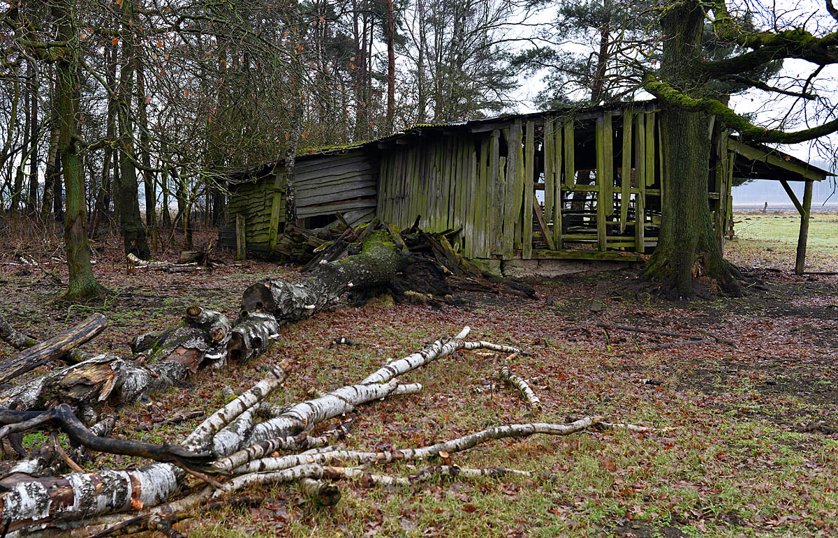 Feldstall 1