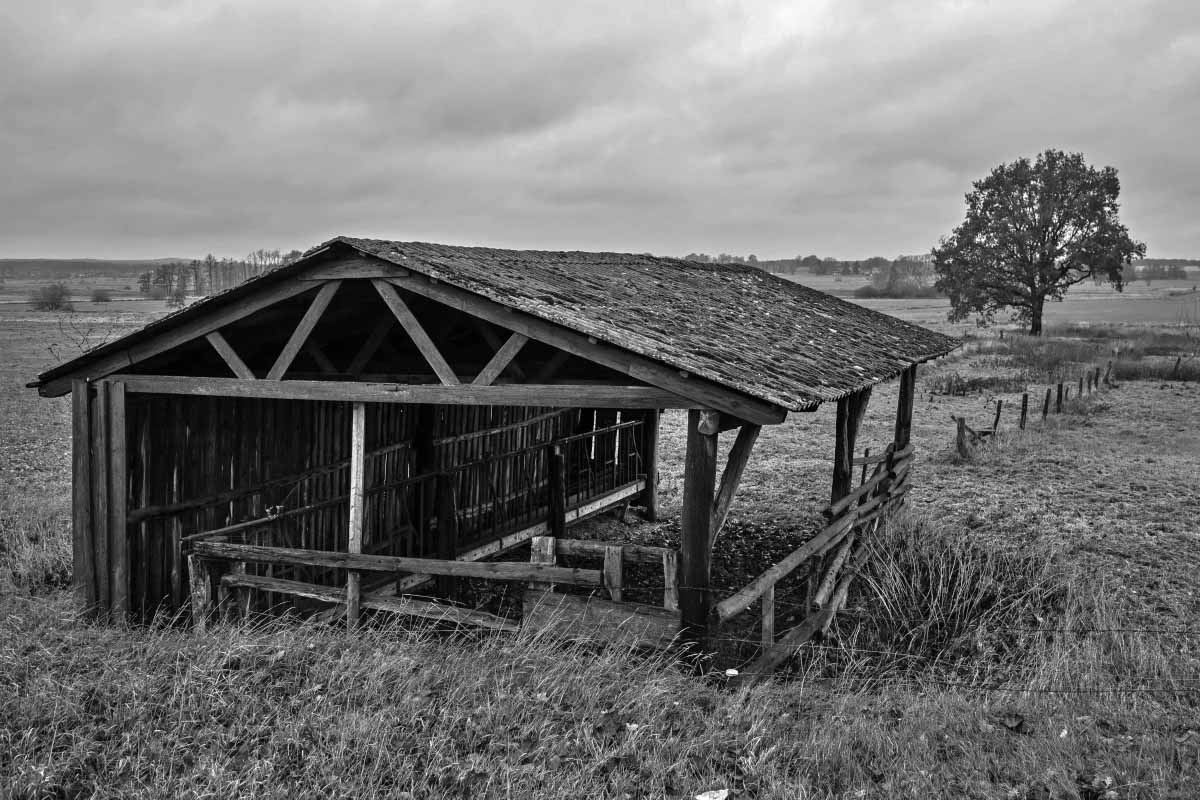 FeldstallBW 4.jpg