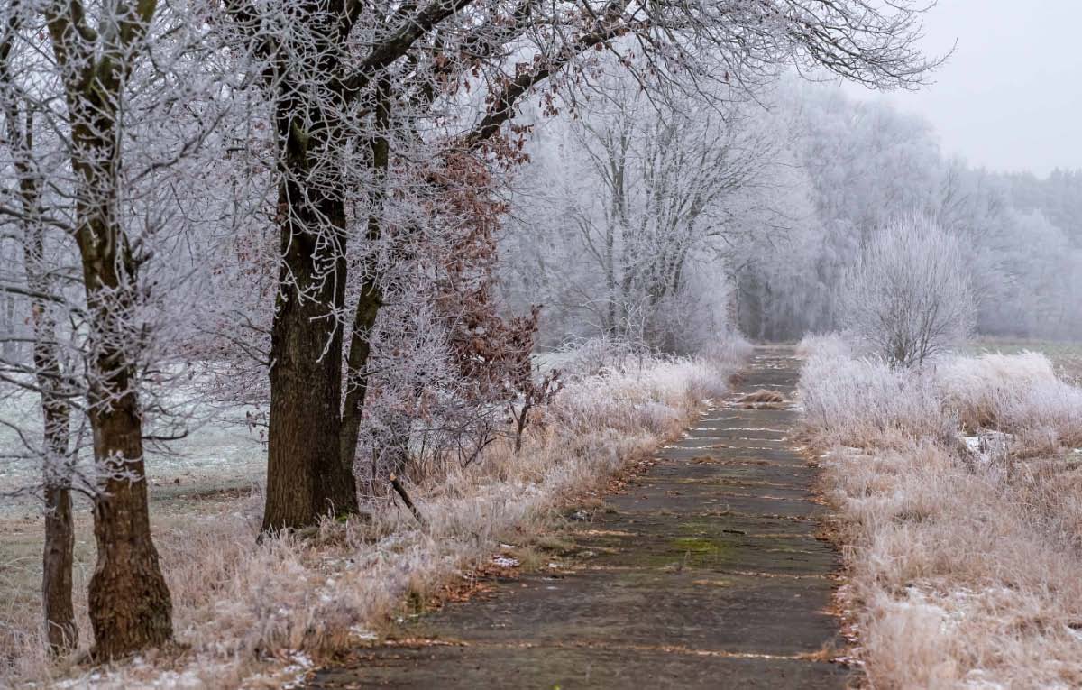 Feldweg im Winter.jpg