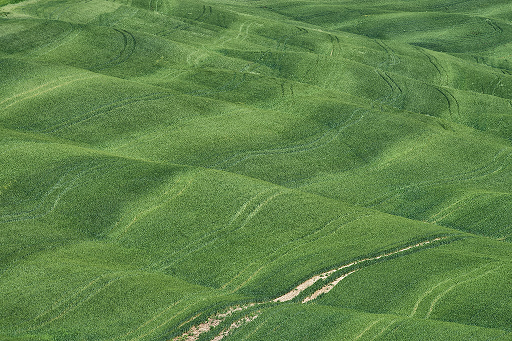 Feldweg, San Quirico d'Orcia, Toscana, 13.05.2013