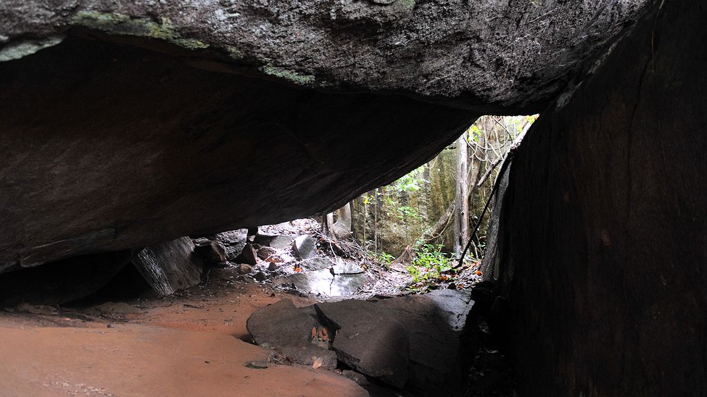 Felsformation
Iwokrama Rainforest
1275