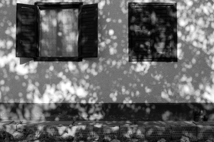 Fenster 5