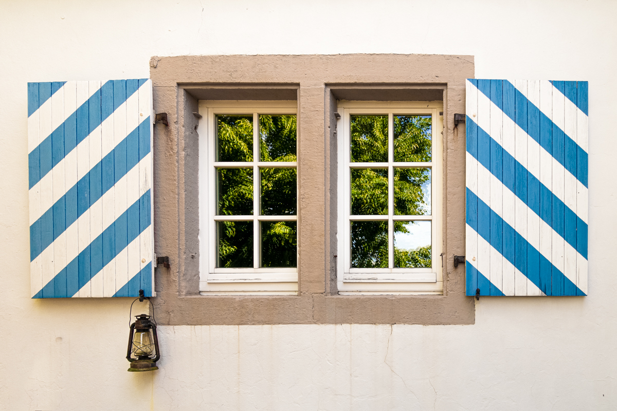 Fenster, Baum, Spiegelung