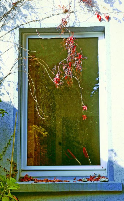 fenster im herbst
