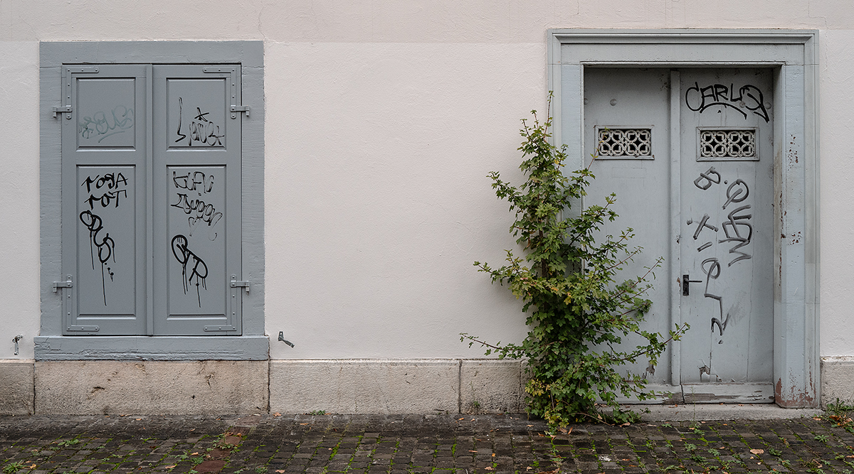 Fenster.jpg
