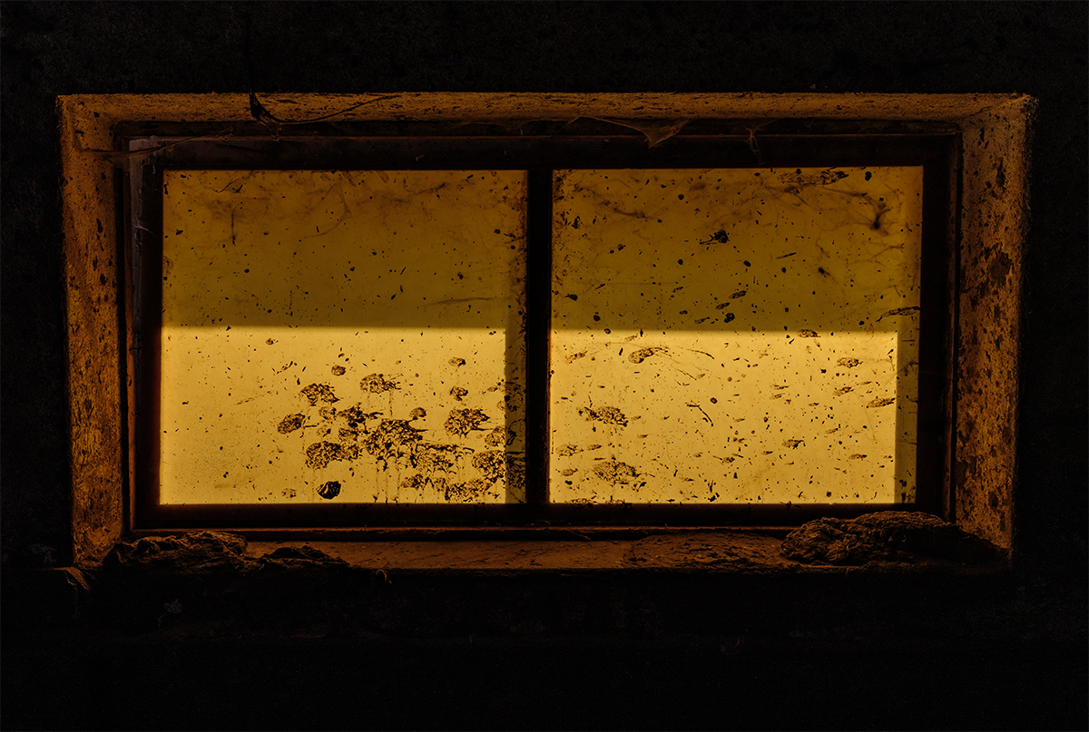 Fenster.jpg