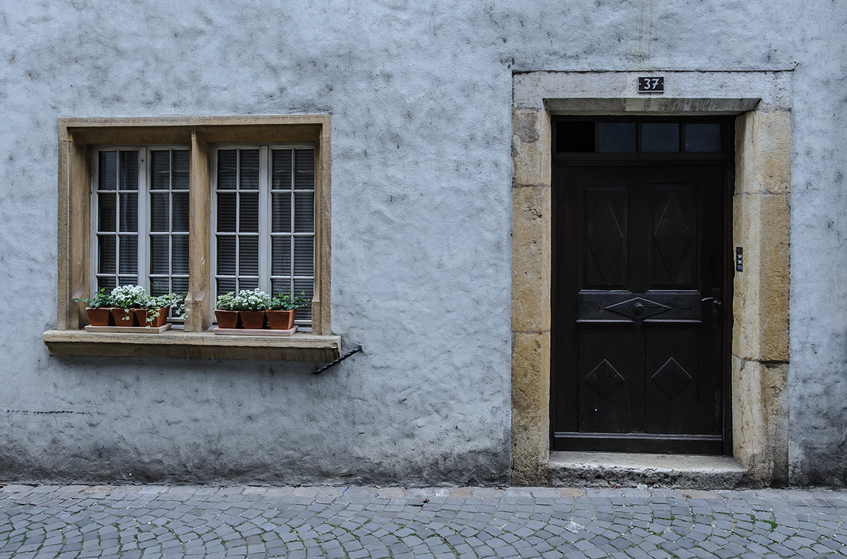 Fenster.jpg