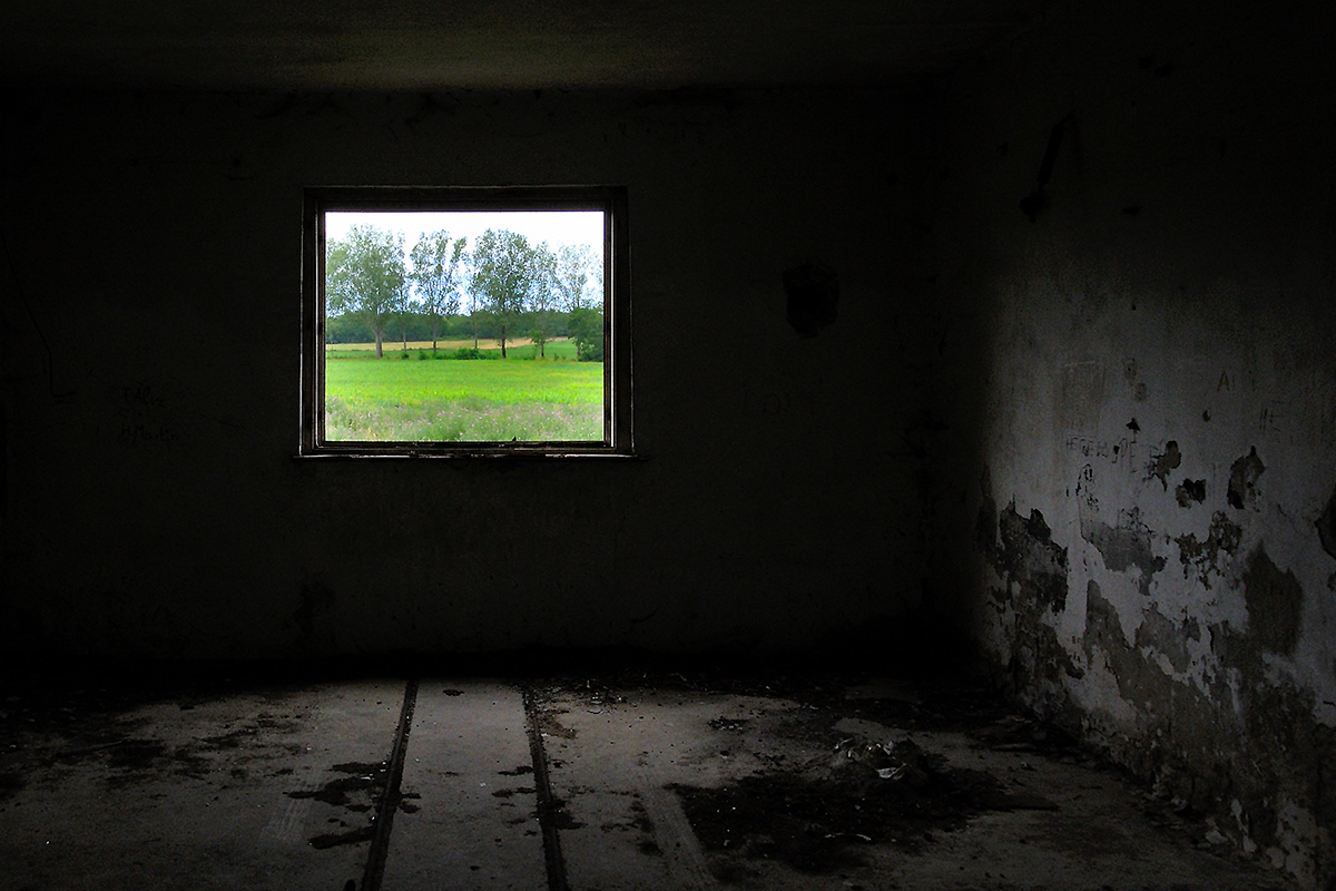 Fenster.jpg