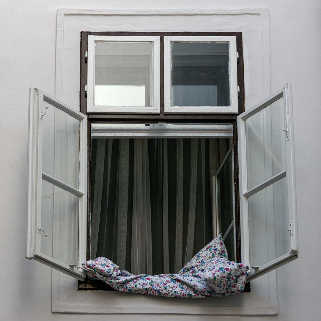 fenster.jpg