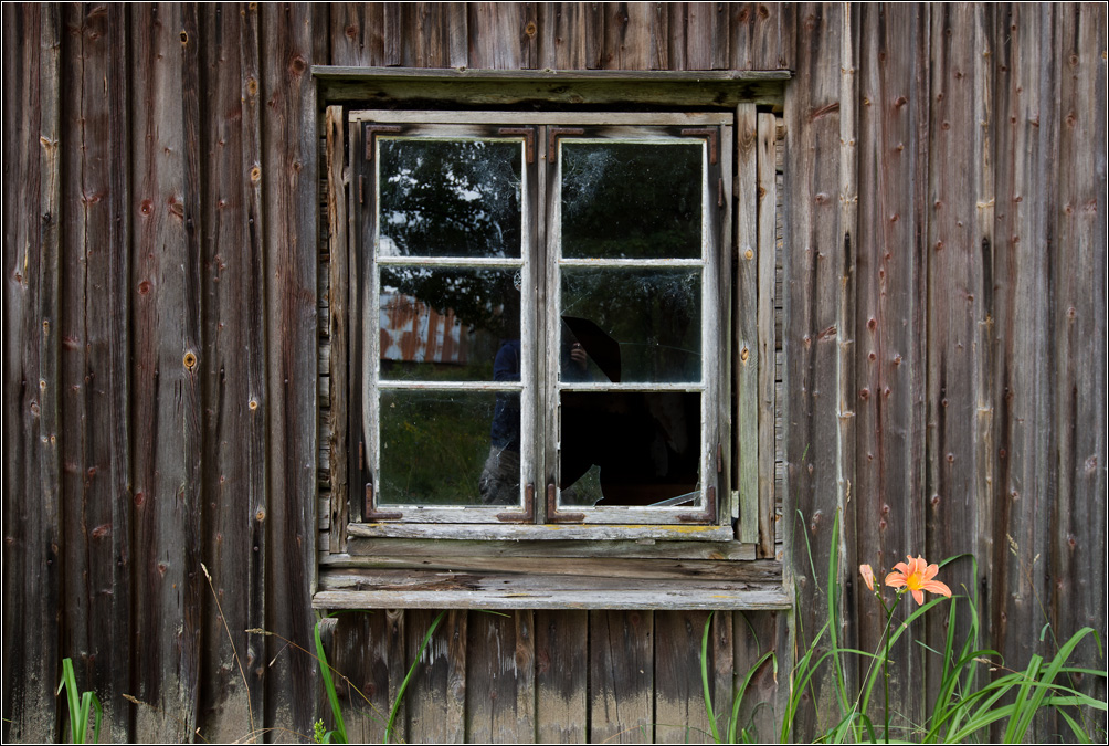 fenster mit blümchen