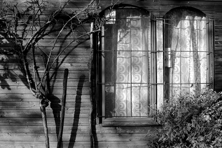 Fenster mit Rosen 002