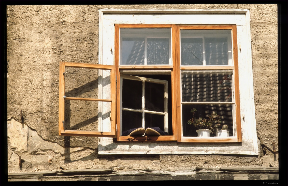 Fenster Neugasse