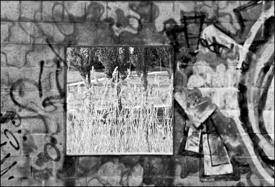 fenster