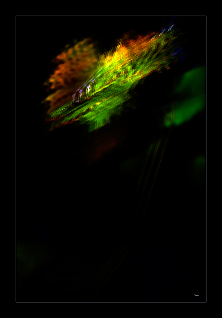 FensterDSC 0131