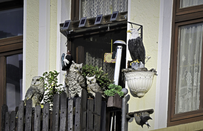 Fensterschmuck.jpg