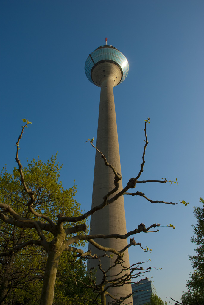 Fernsehturm D dorf  DSC2777