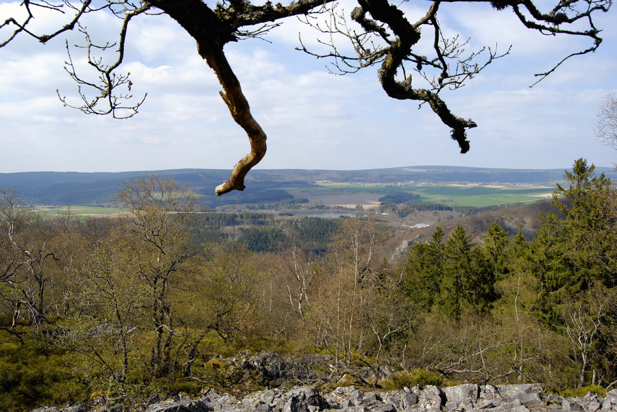 festung