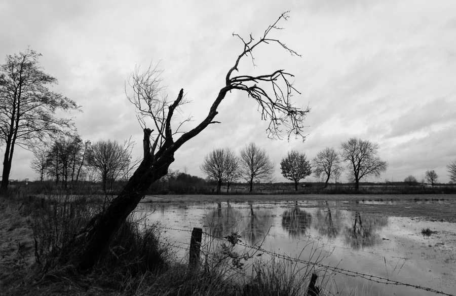 Feuchtgebiet