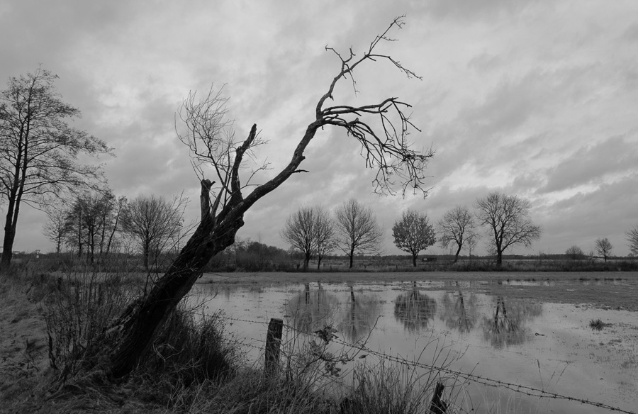 Feuchtgebiet2