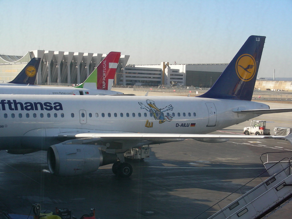 FFM-2008