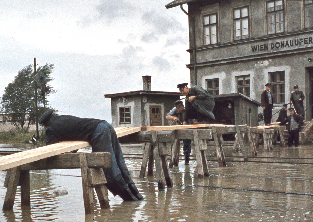 File_010-vg.jpg