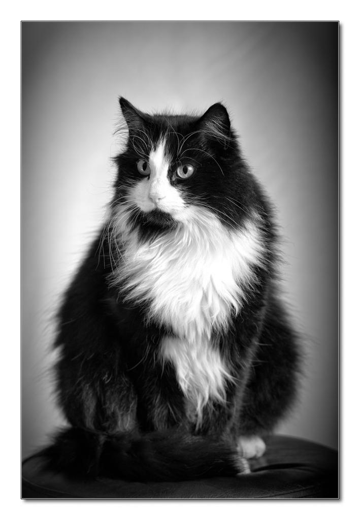 Filou8